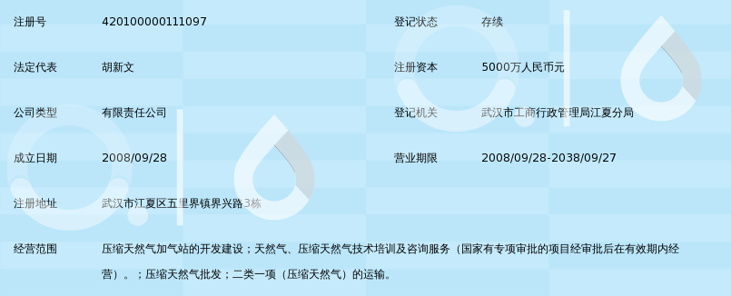 武汉中油压缩天然气有限公司_360百科