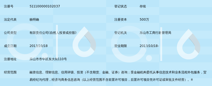 乐山协亚融资咨询服务有限公司_360百科