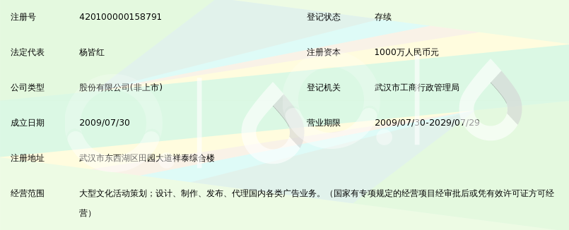 武汉道森媒体股份有限公司_360百科